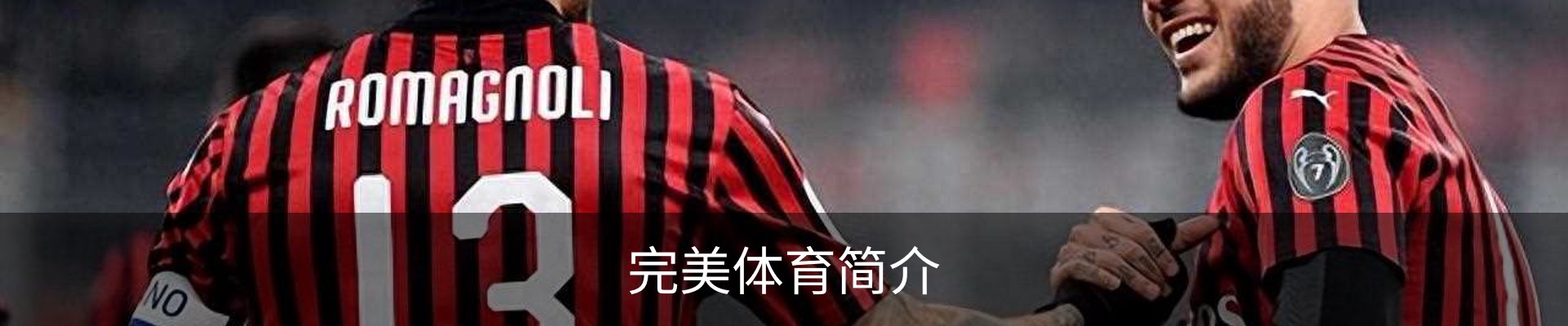 完美体育简介